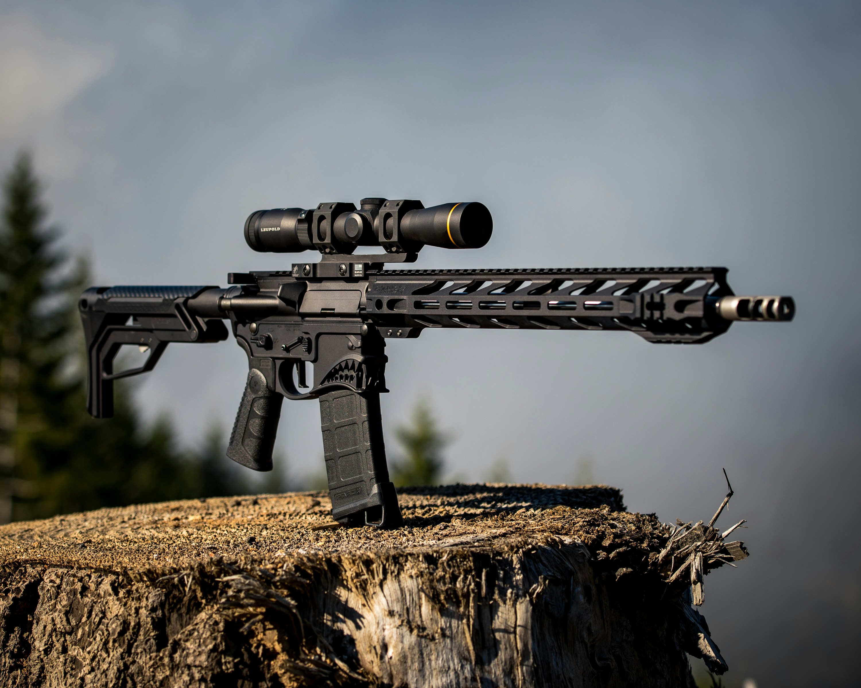 Rifles